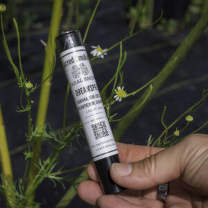 hand holding a tube of rolled joints in a bush of chamomile