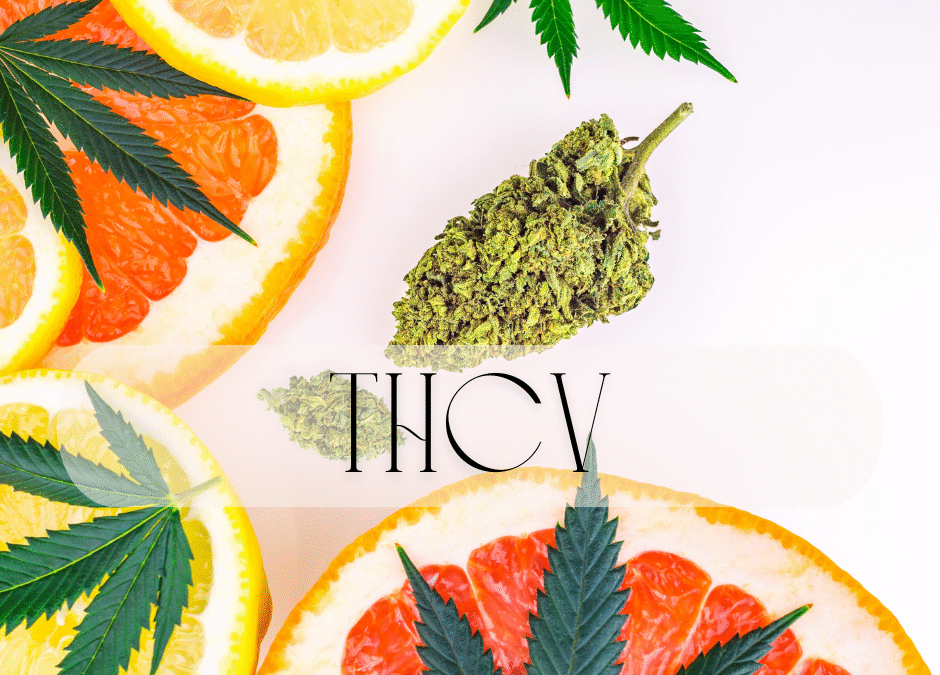 THCV: The Activating Cannabinoid for Energy, Metabolism & Balance