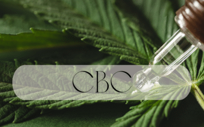 CBC: The Quiet Cannabinoid with Bold Benefits for Brain, Body & Mood